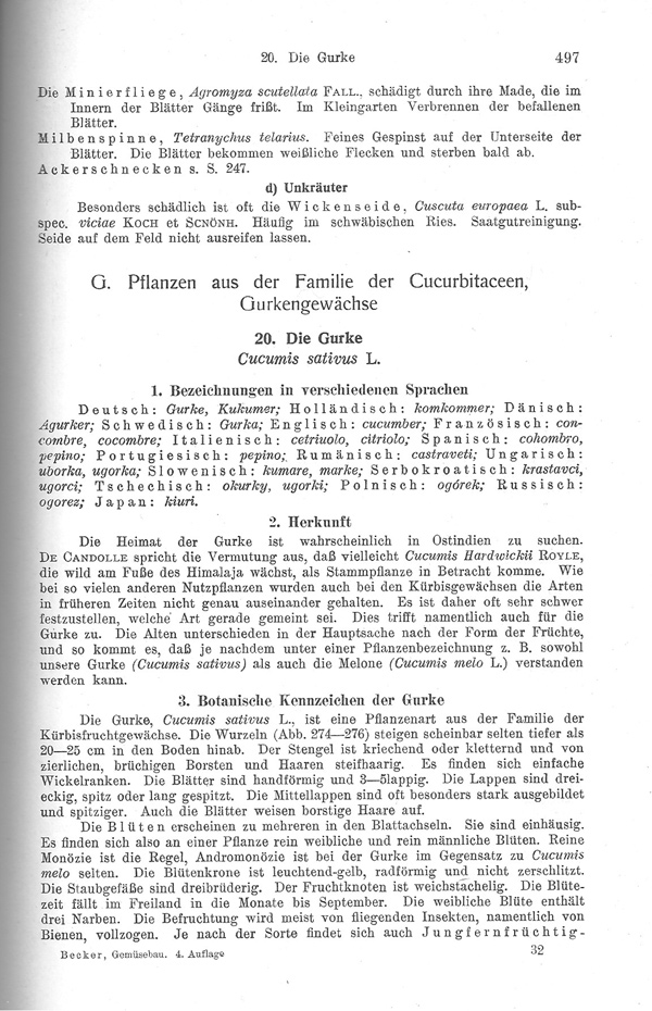 Seite 497: Bezeichnungen in verschiedenen Sprachen, Herkunft, Botanische Kennzeichen der Gurke