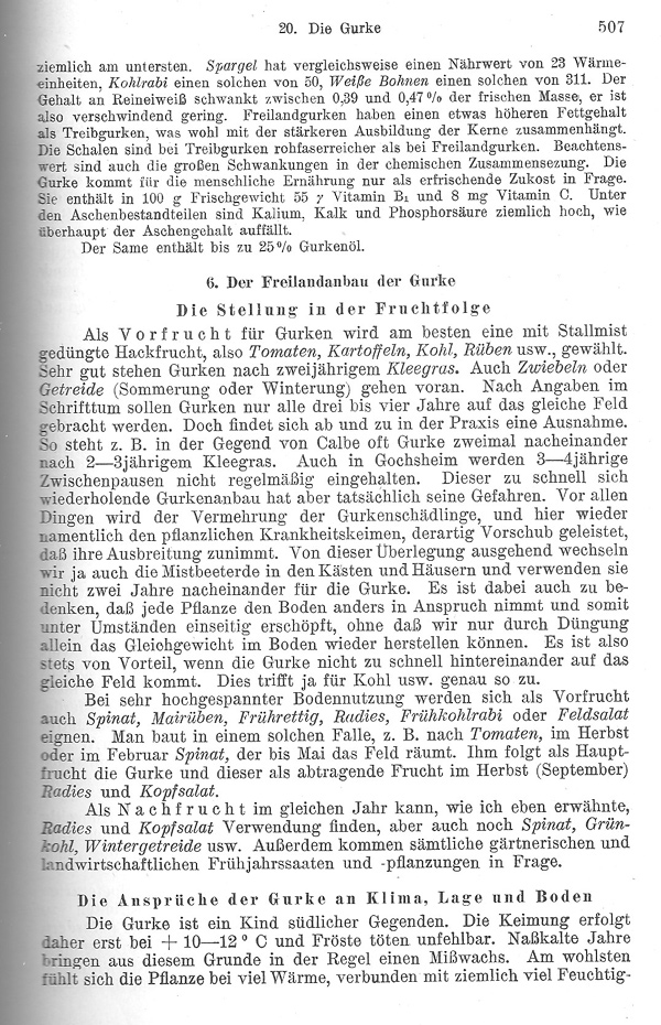 Seite 507: Der Freilandanbau der Gurke