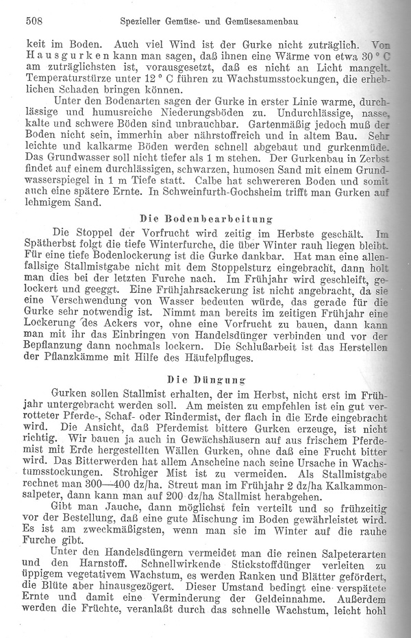 Seite 508: Der Freilandanbau der Gurke