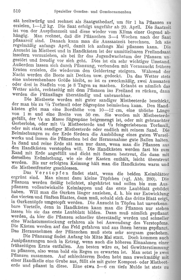 Seite 510: Der Freilandanbau der Gurke