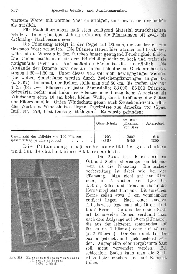 Seite 512: Der Freilandanbau der Gurke
