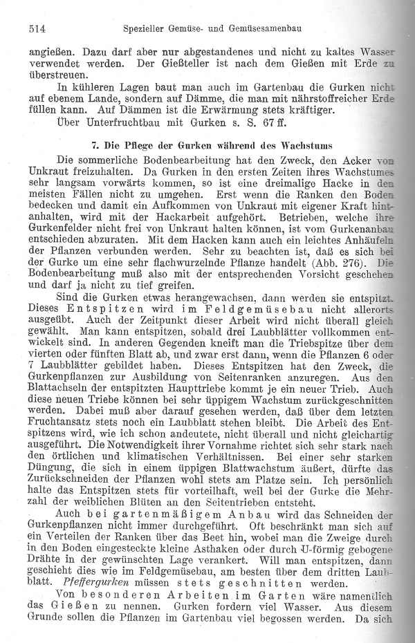 Seite 514: Die Pflege der Gurken während des Wachstums