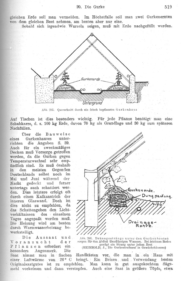 Seite 519: Die Treiberei der Gurke