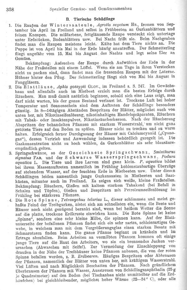 Seite 538: Krankheiten und tierische Schädlinge der Gurken