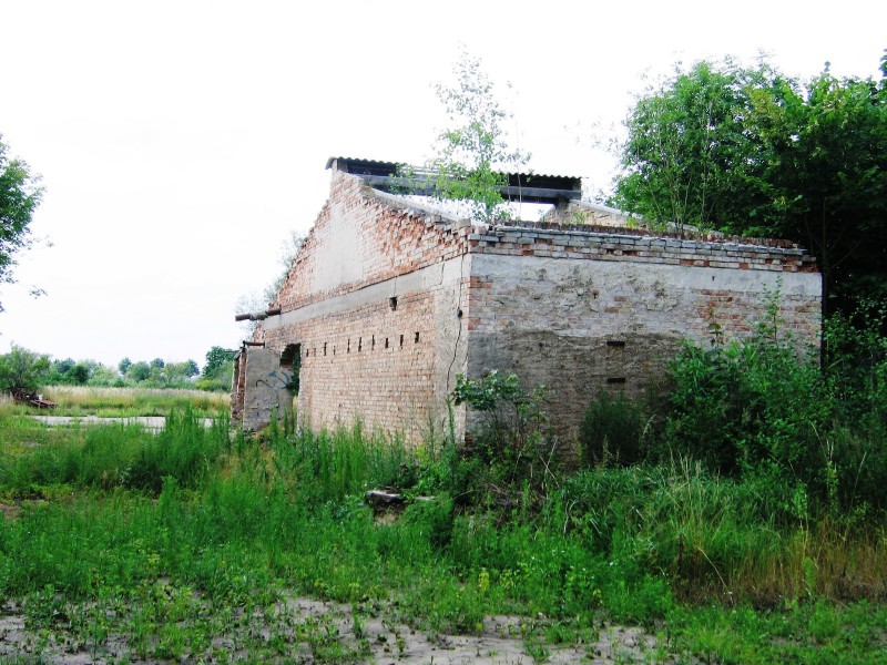 Restanten ‚Klein-Holland‘ in Manschnow III (Foto Annemieke Hendriks)