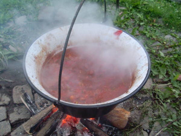 Kessel mit Gartenfrüchten und ein wenig Fleisch