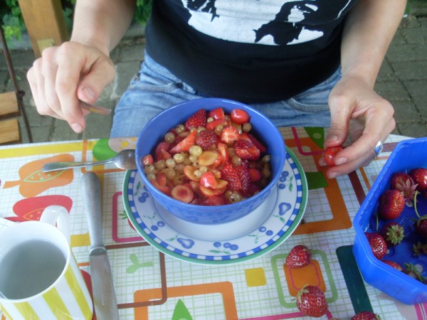 Da ist er, der paradiesische Obstsalat, mit dem ich sie in den Garten locken kann!