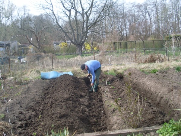 Gräben auszuheben, ist verdammt anstrengend (11. April 2015)