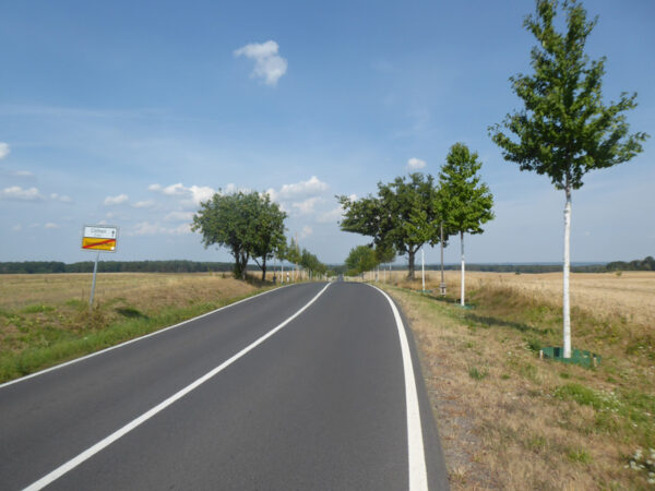 Landstraße nach Cöthen am Dorfausgang von Dannenberg/Mark