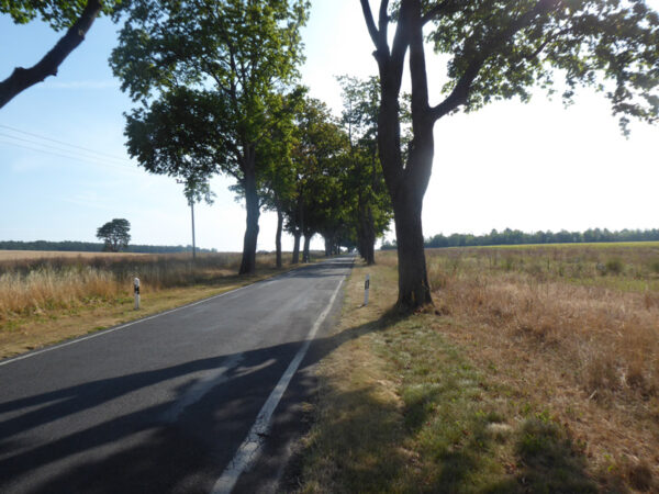 Straße zwischen Schönfeld und Beiersdorf bei Berlin