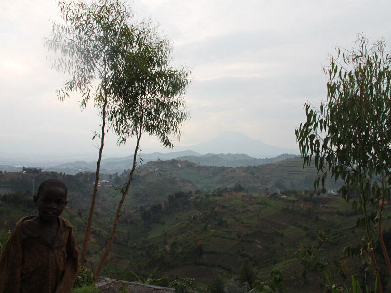Blick über die ruandische Hügellandschaft vor den Virunga-Vulkanen
