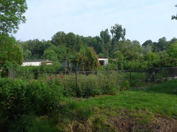 Mein Pflegegarten