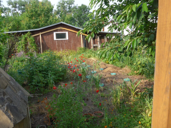 Geplante Anbaufläche für Tomaten