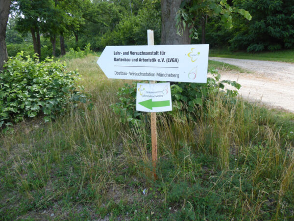 Wegweiser zur Obstzuchtstation und zum Aprikosenseminar