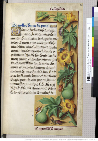 Kürbisbild von 1508 aus Horae ad usum Romanum, dites Grandes Heures d'Anne de Bretagne