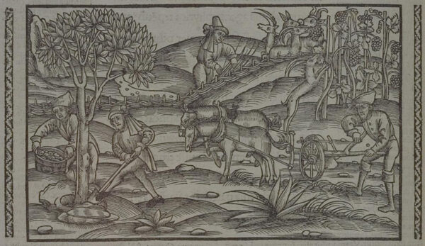 Holzschnitt aus dem 1. Band der Georgica von Vergil, 1502