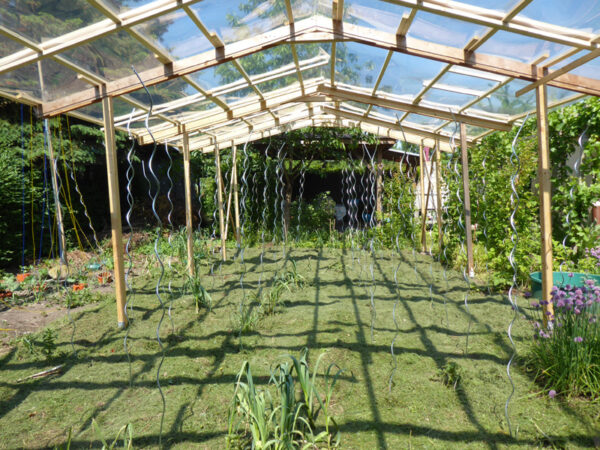 4x10 Meter großes Schutzdach für Tomaten