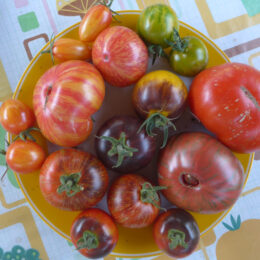 Ein Teller mit schwarzen und gestreiften Tomaten