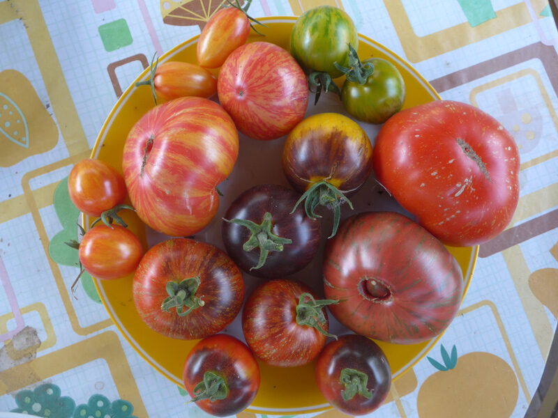 Ein Teller mit schwarzen und gestreiften Tomaten