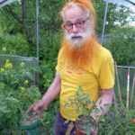 Der Autor mit einer vorgezogenen Tomatenpflanze