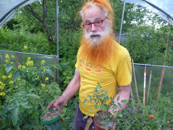 Der Autor mit einer vorgezogenen Tomatenpflanze