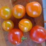 Zwei verschiedene Versionen von 'Coras Tomate'