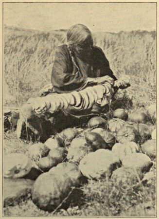 Hidatsa woman spitting sclices of squashes