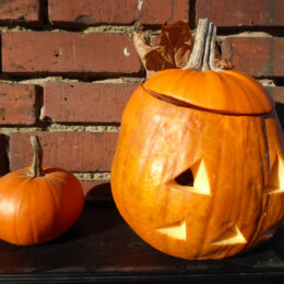 Cucuurbita pepo as Jack-o-Lantern