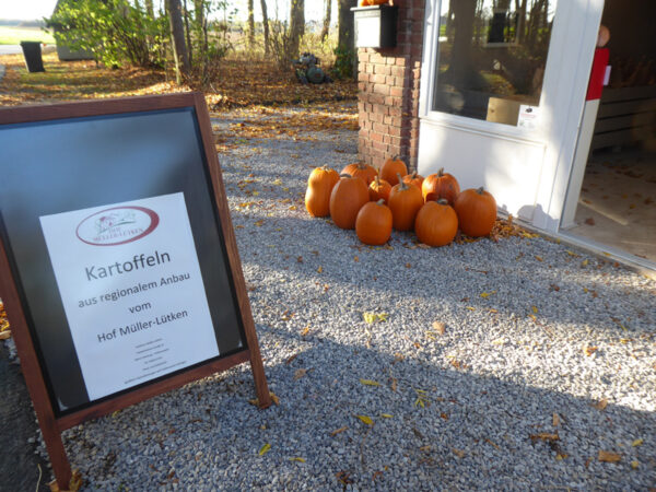 Restbestände von Halloween-Kürbisse auf Hof Müller-Lütken