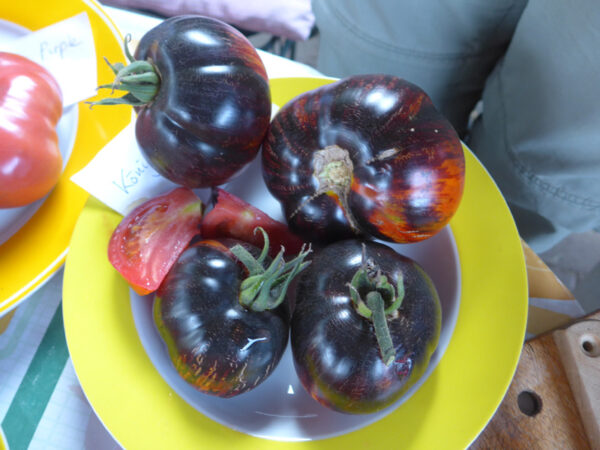 Schwarze Tomaten auf einem Teller