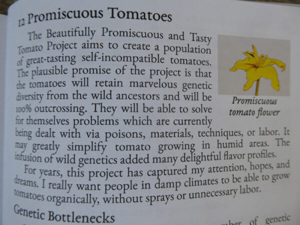 Abbildung erster Absatz des Kapitels 'Promiscuous Tomatoes'