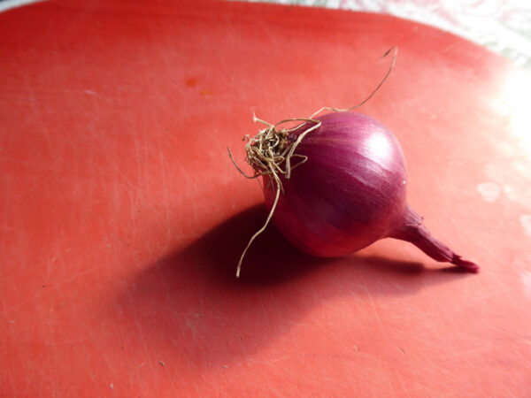 Rote Zwiebel auf einem roten Brettchen