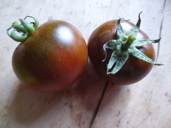 Zwei kleine, braune Tomaten