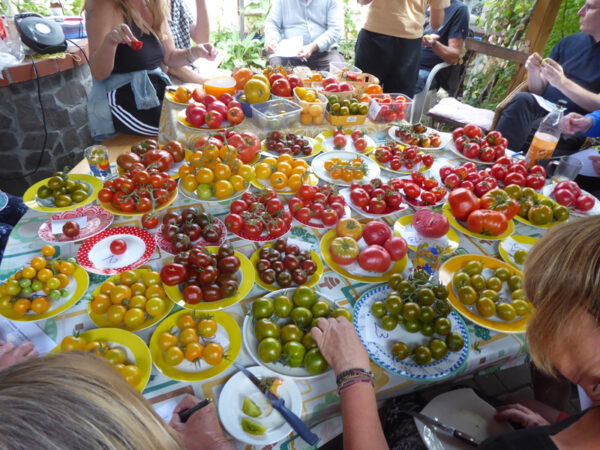 Tisch mit Tellern voller verschiedenfarbiger Tomaten