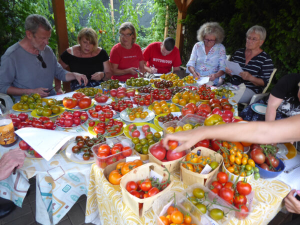 Menschen bei einer Tomatenverkostung