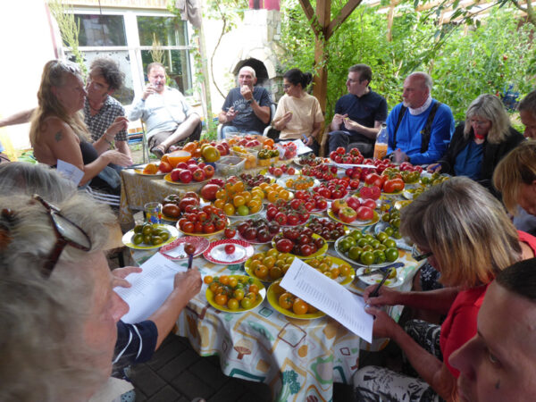Menschen um einen Tisch voller Tomaten versammelt, um diese zu probieren
