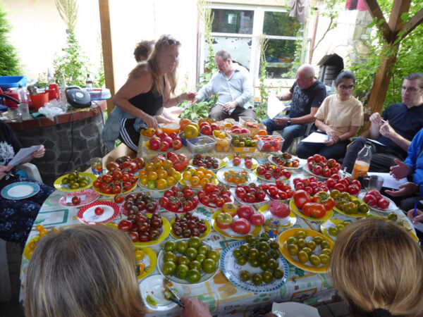 Menschen um einen Tisch voller bunter Tomaten versammelt
