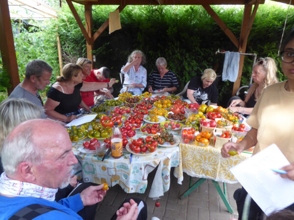 Menschen um einen Tisch voller Tomaten versammlt bei deren Verkostung