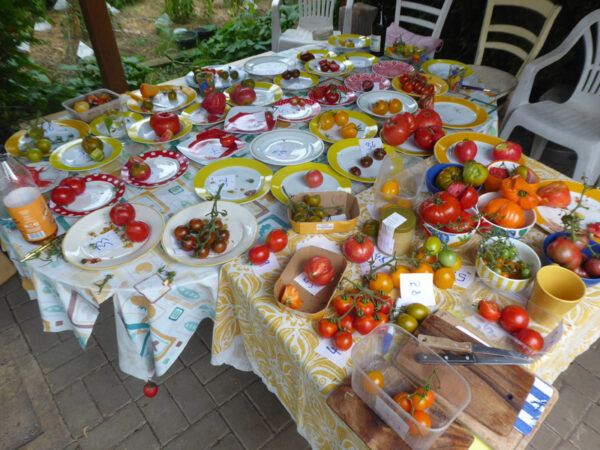Ein Tisch mit Tellern, auf denen noch hier und da eine Tomate liegt