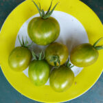 Fünf eiförmige, gelb-grün gestreifte Tomaten zusammen mit einer runden gelb-grün gestreiften auf Teller