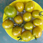 Teller voller gelb-grüner Tomaten mit kleinen braunen Flecken
