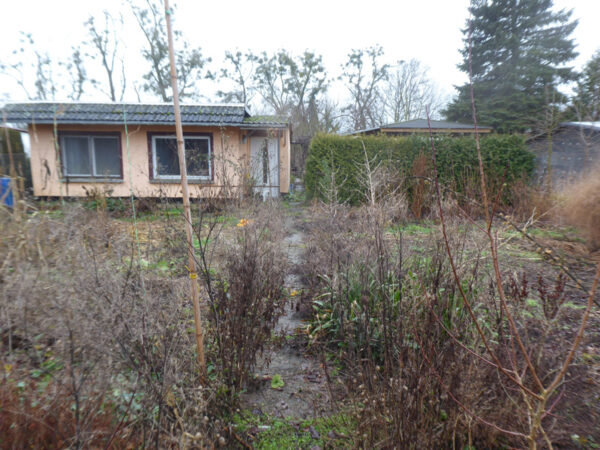 Garten und Gartenhaus im Januar