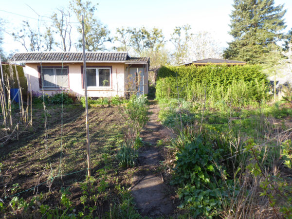 Garten und Gartenhaus