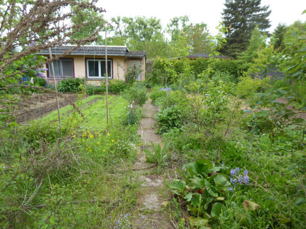 Garten und Gartenhaus