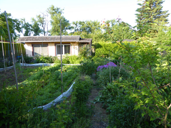 Garten und Gartenhaus