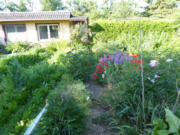 Garten und Gartenhaus