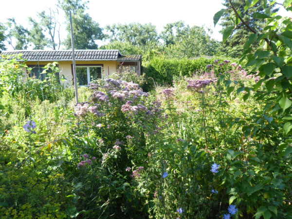 Garteneingang und Gartenhaus