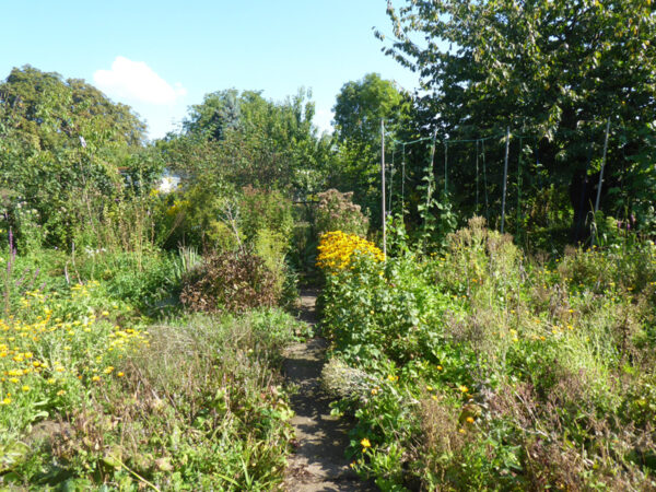 Garteneingang und Gartenhaus