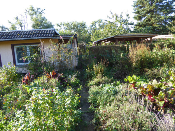 Garteneingang und Gartenhaus