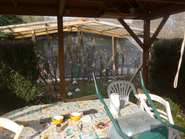 Tomatenschutzdach und Carport